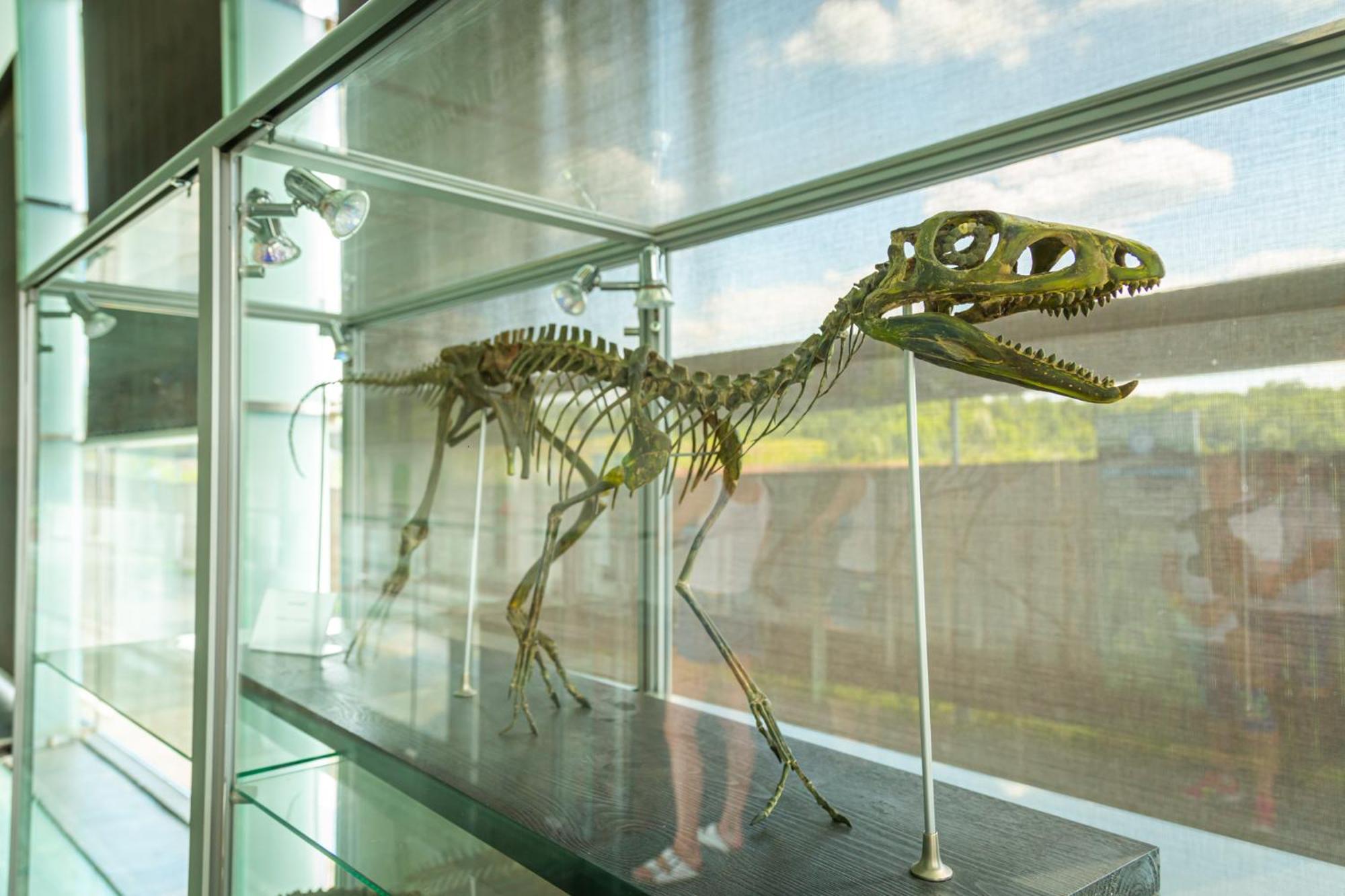 Noclegi Jurapark Krasiejow Luaran gambar
